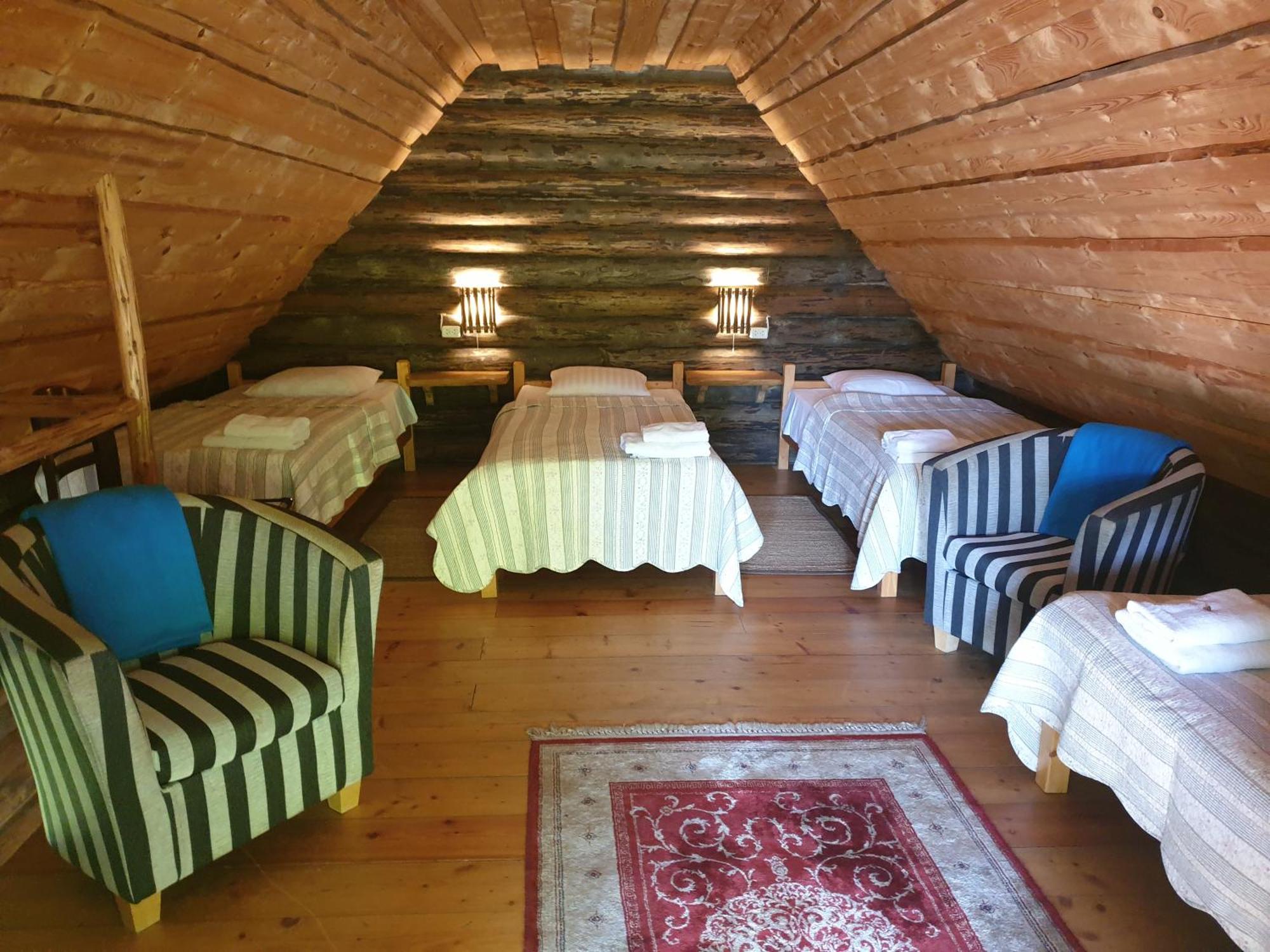 Vienkiemis Kretinga Quarto foto