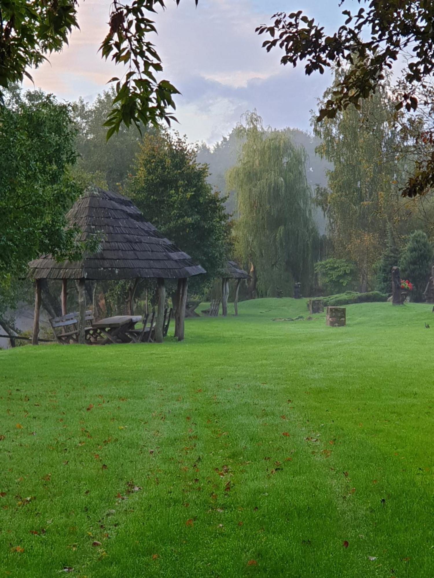 Vienkiemis Kretinga Quarto foto